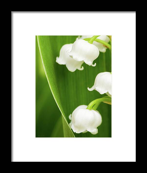 Lily Of The Valley Framed Print featuring the photograph Lily of the Valley by Wim Lanclus