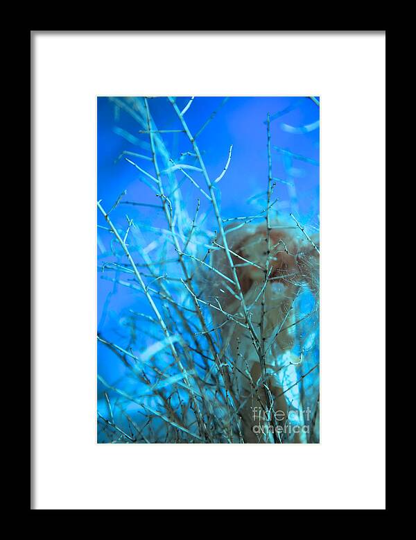 Faerie Framed Print featuring the photograph Lily Told Me by Kate Purdy