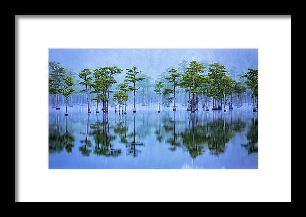 Abstract Framed Print featuring the photograph Line of Cypresses in Fog Panorama by Alex Mironyuk