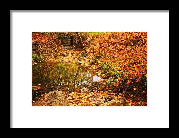  Framed Print featuring the photograph Lineberger Park 6 by Rodney Lee Williams