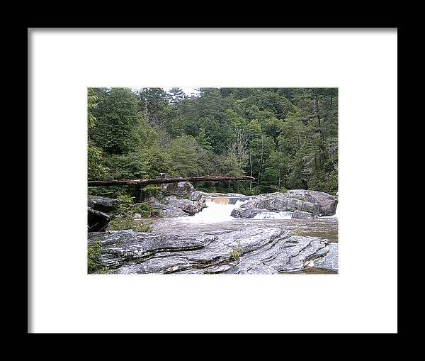 Landscape Blue Ridge Mountains In Linville Framed Print featuring the photograph Linville Trail...Dare to Walk a Limb by SarahJo Hawes