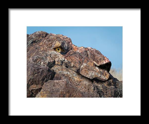Lion Framed Print featuring the digital art Lion Rock by Rick Mosher
