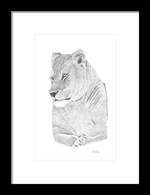 Lioness Framed Print featuring the drawing Lioness by Patricia Hiltz