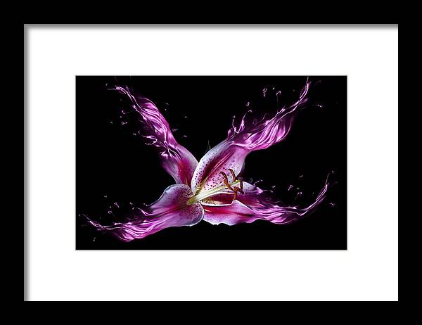 Flower Framed Print featuring the photograph Liquid Lily by Lori Hutchison
