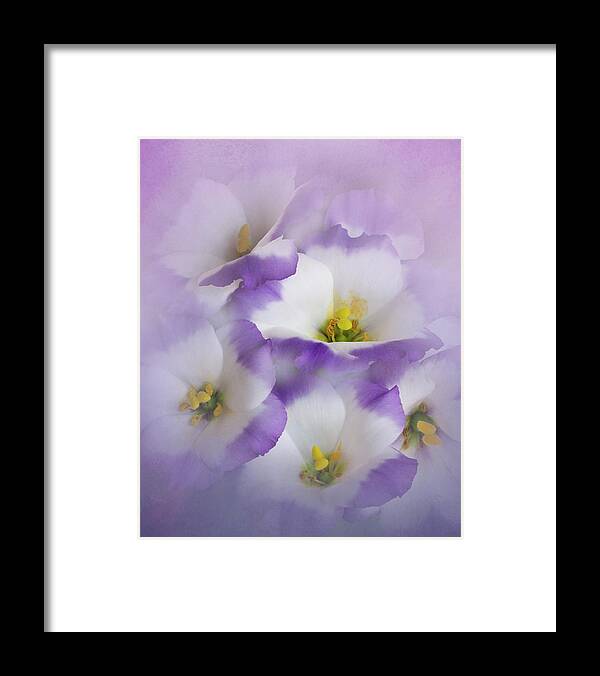 Bloom Framed Print featuring the photograph Lisianthus Grouping by David and Carol Kelly