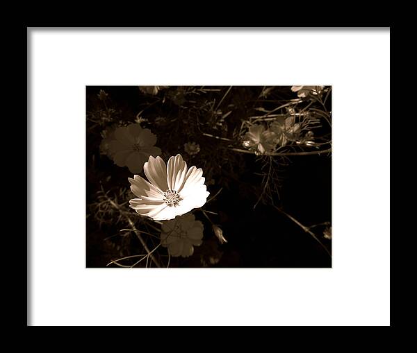 Lit Framed Print featuring the photograph Lit by Dark Whimsy