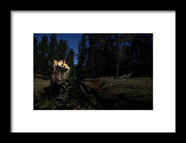 Landscape Framed Print featuring the photograph Lit Log Along the Trail by Scott Cunningham