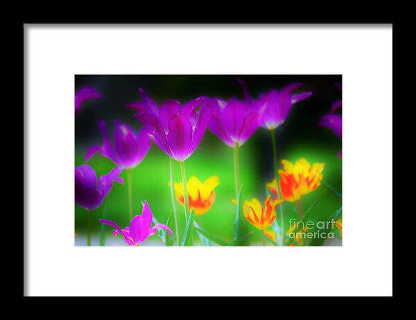 Flowers Framed Print featuring the photograph Lite from Below by Merle Grenz