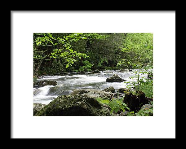 River Framed Print featuring the photograph Litltle River 1 by Marty Koch