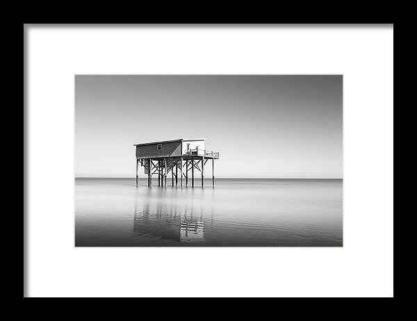 Little Blue Framed Print featuring the photograph Little Blue in Black and White by Ivo Kerssemakers
