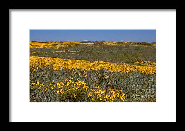 Yellow Wildflowers Framed Print featuring the photograph Little House On the prairie by Jim Garrison