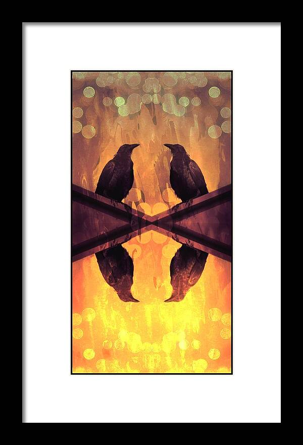Crow Framed Print featuring the photograph Little Phoenix by Stoney Lawrentz