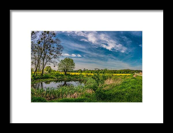 Field Framed Print featuring the photograph Little pond near a rapeseed field by Dmytro Korol