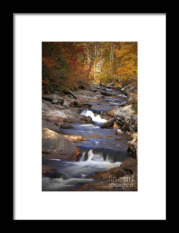 River Framed Print featuring the photograph Little River Stream by Geraldine DeBoer