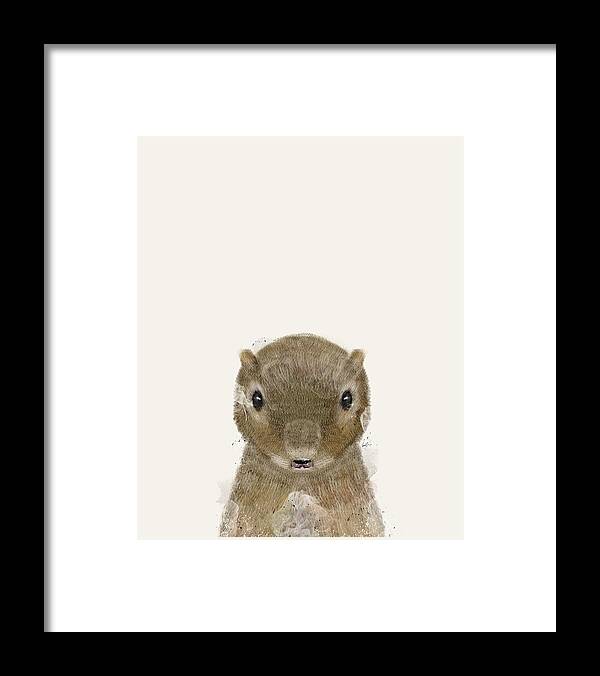 Squirrels Framed Print featuring the painting Little Squirrel by Bri Buckley