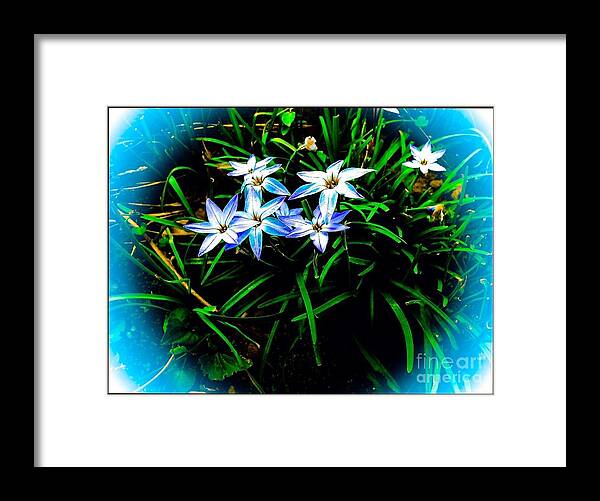 Stars Framed Print featuring the digital art Little Star Wind Flowers by Debra Lynch