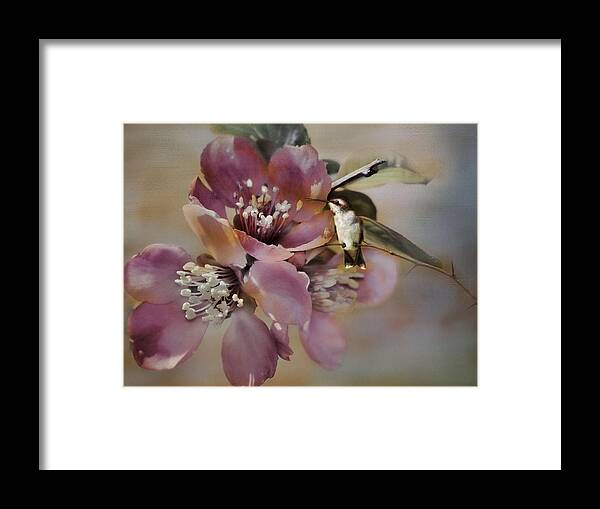 Hummingbird Framed Print featuring the photograph Little Wonder by Robin-Lee Vieira