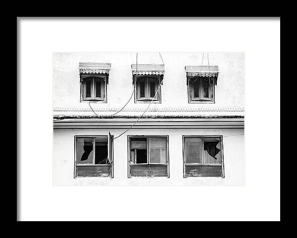Minimal Framed Print featuring the photograph Live and Let Live by Prakash Ghai