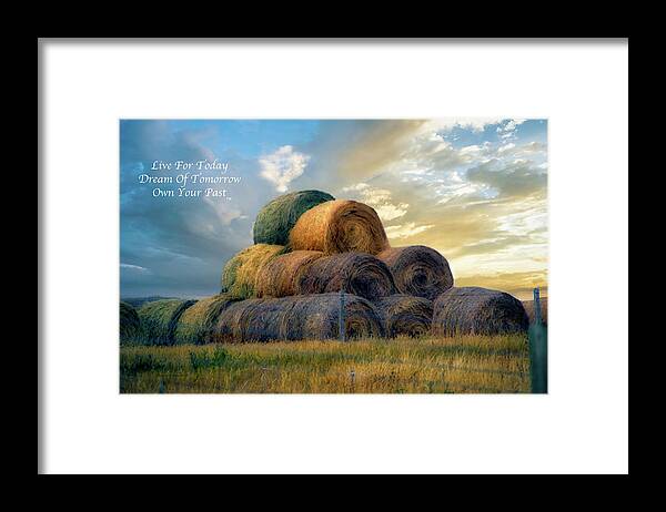 Farming Framed Print featuring the photograph Live Dream Own Farming Great Plains Hayrolls Text by Thomas Woolworth