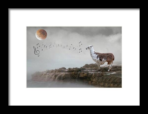 Llama Framed Print featuring the photograph Llama Singing to the Moon by Rebecca Cozart