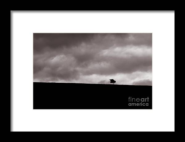 Scottish Landscape Framed Print featuring the photograph Lone Tree by Diane Macdonald