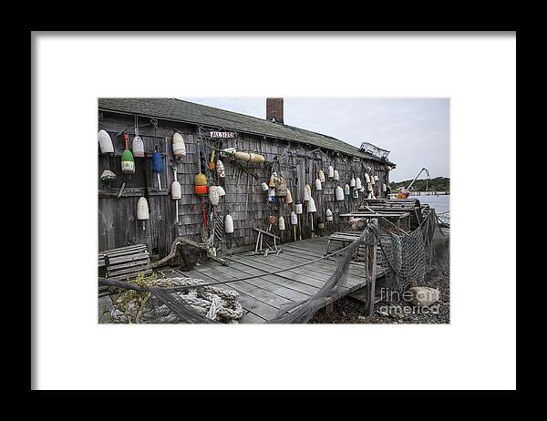 Lobster Framed Print featuring the photograph Lobster Shack by Timothy Johnson