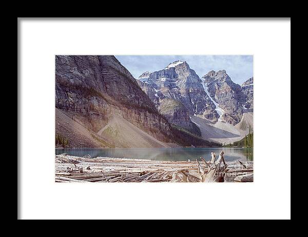 Alberta Framed Print featuring the photograph Logs at Lake Moraine by Patricia Hofmeester