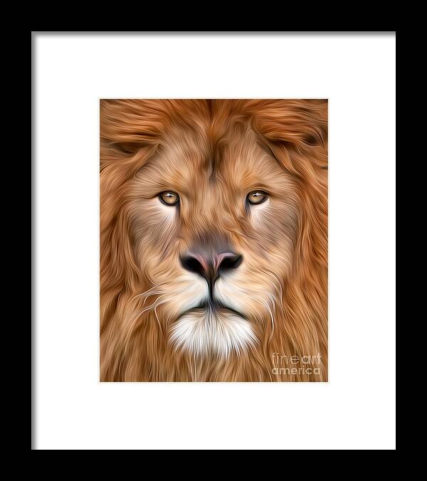 Africa Framed Print featuring the photograph Lion Close Up Creative by Jerry Fornarotto