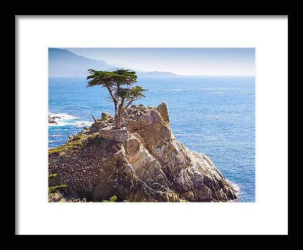 Lone Cypress Framed Print featuring the photograph Lone Cypress by Lutz Baar