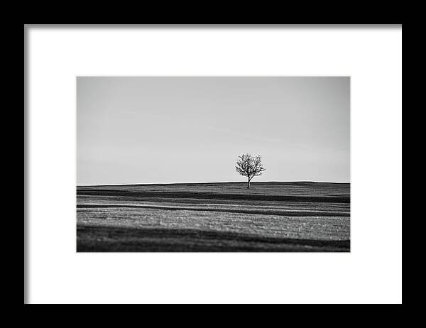 Landscape Framed Print featuring the photograph Lone Hawthorn Tree iv by Helen Jackson