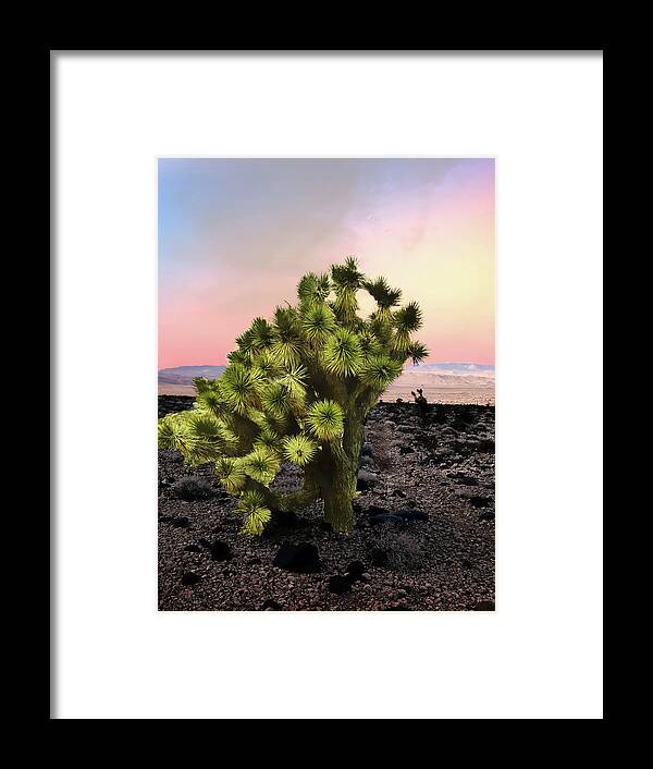 Joshua Tree Framed Print featuring the photograph Lone Joshua Tree by Alan Socolik
