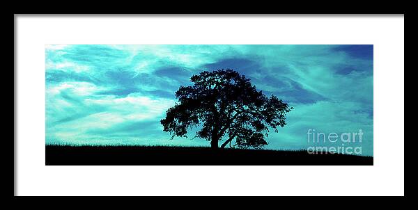 Oak Framed Print featuring the photograph Lone Oak by Jim And Emily Bush