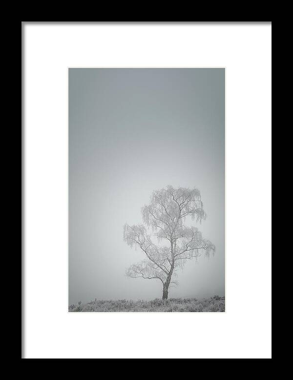 Bare Framed Print featuring the photograph Lone Tree in Winter by Andy Astbury