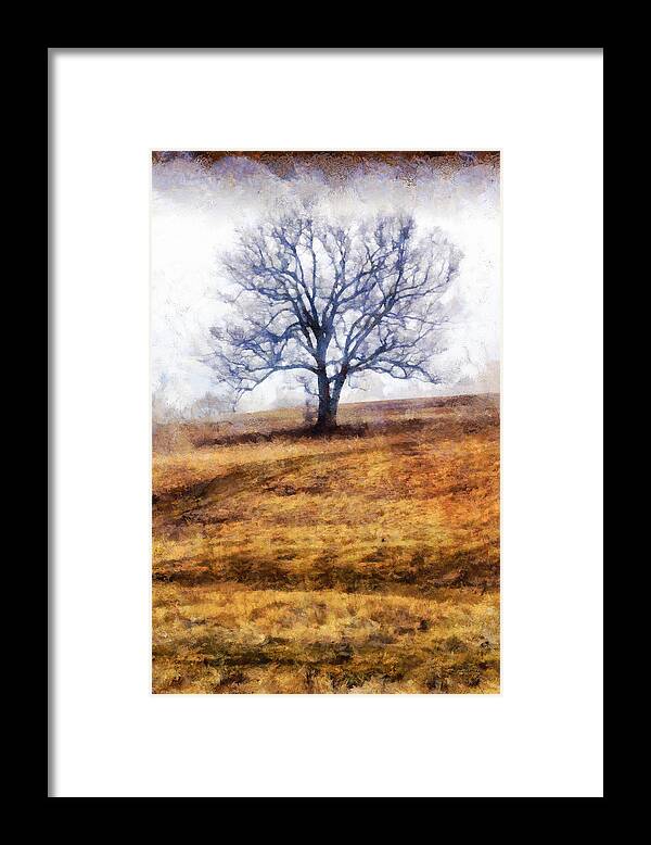 Lone Framed Print featuring the photograph Lone Tree on Hill in Winter by Betty Denise