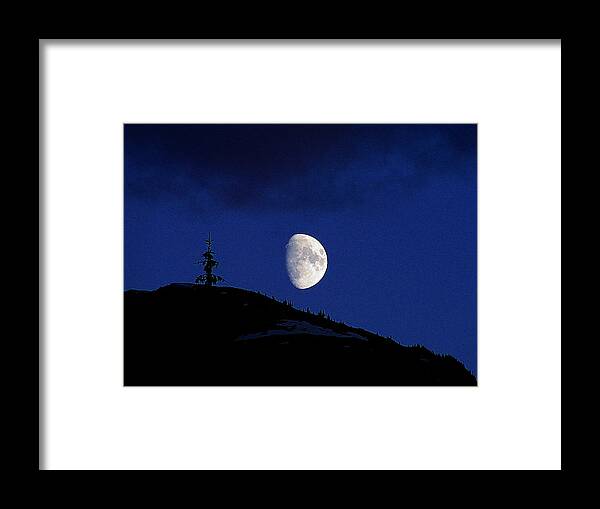 Mountain Framed Print featuring the photograph Lonely Companion by Blair Wainman