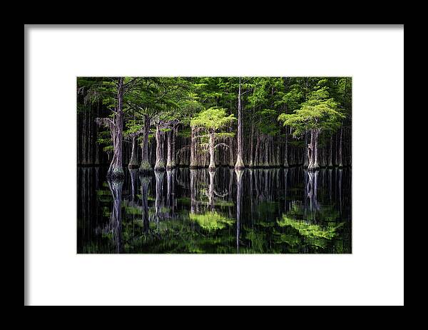 Abstract Framed Print featuring the photograph Lonely Cypress by Alex Mironyuk