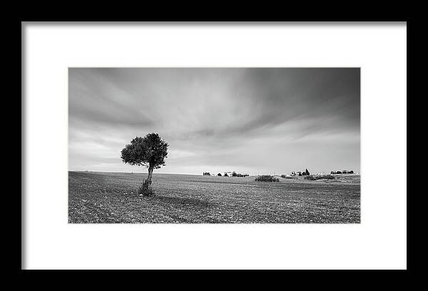 Olive Tree Framed Print featuring the photograph Lonely Olive tree by Michalakis Ppalis