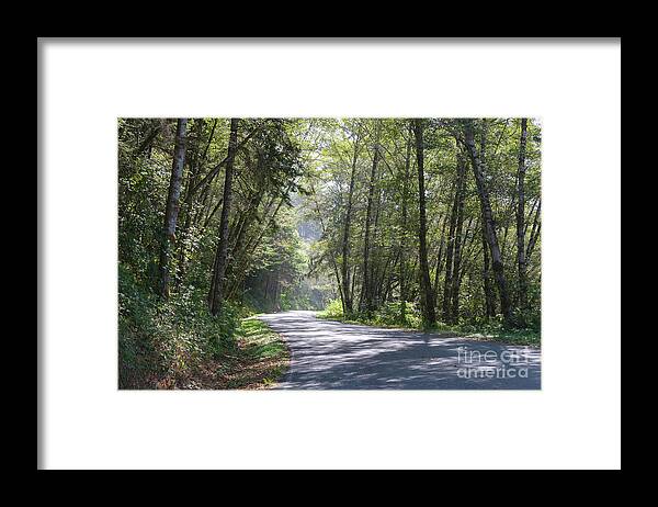 Road Framed Print featuring the photograph Lonely Road on the North Coast by Jeff Hubbard