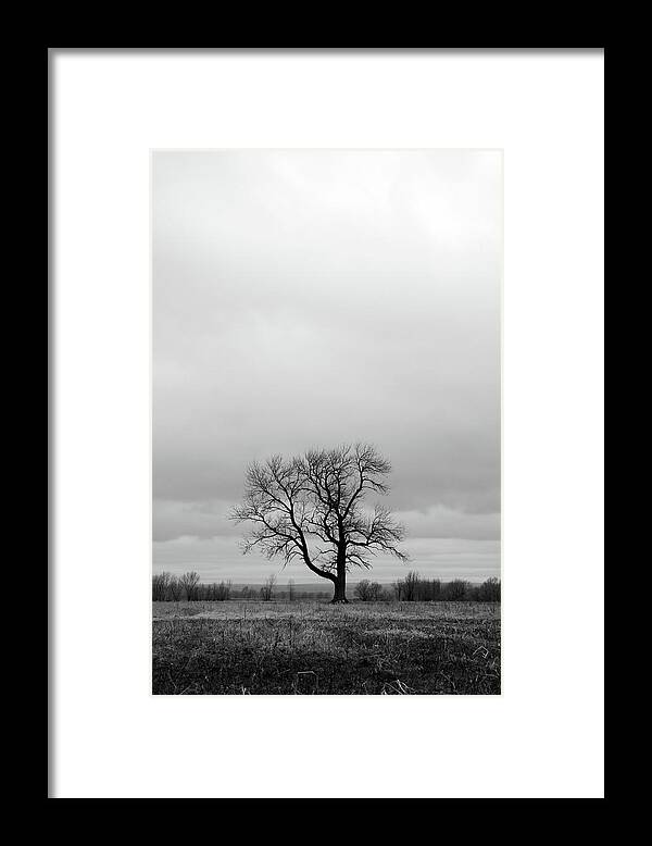 Tree Framed Print featuring the photograph Lonely tree in a spring field by GoodMood Art