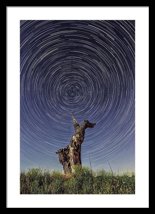 California Framed Print featuring the photograph Lonely Tree Under Star Trails by Don Hoekwater Photography