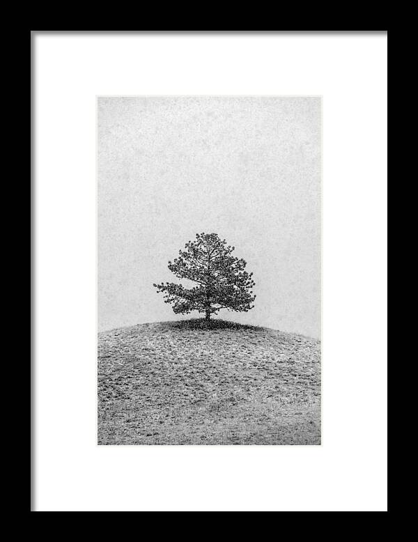 Vertical Framed Print featuring the photograph Lonesome Tree by Todd Klassy