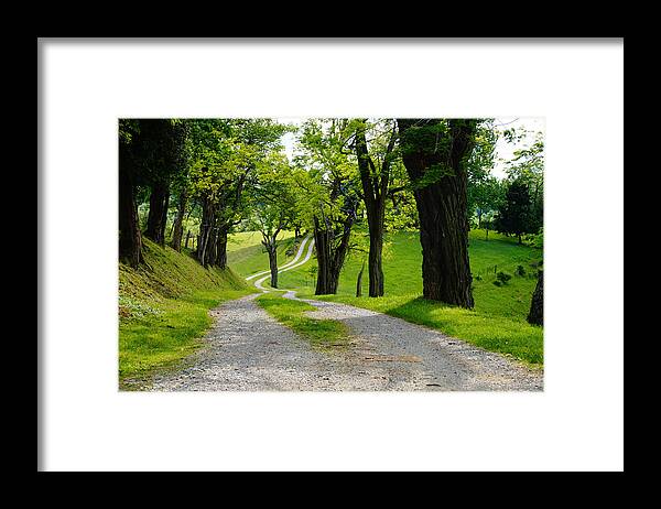 Landscape Framed Print featuring the photograph Long Road by Mike Murdock