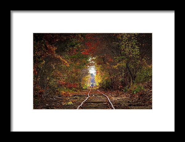 Foliage Framed Print featuring the photograph Looking down the tracks by Darryl Hendricks
