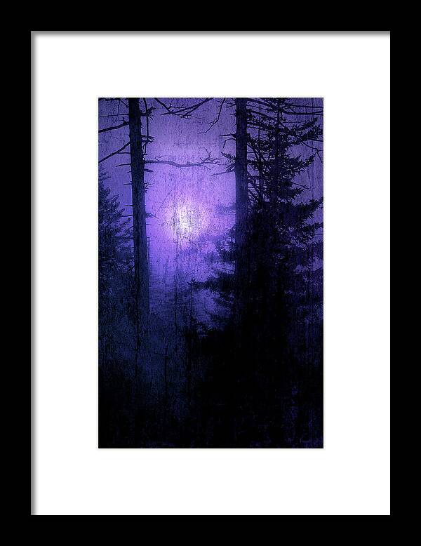 Woodland Framed Print featuring the photograph Looking Into The Dark by Mike Eingle