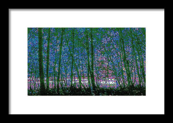 Landscape Framed Print featuring the photograph Looking Through the Trees by Lyle Crump
