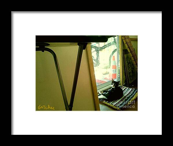 Cat Framed Print featuring the photograph Looking to Me by Sukalya Chearanantana