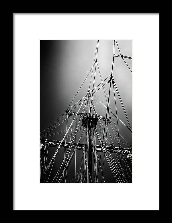 Looking Up Framed Print featuring the photograph Looking Up by Dale Kincaid