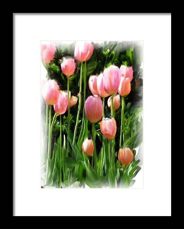 Tulips Framed Print featuring the photograph Looking Up by Susan Fisher