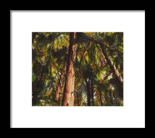 Trees Framed Print featuring the painting Looking Up by Susan Sarabasha