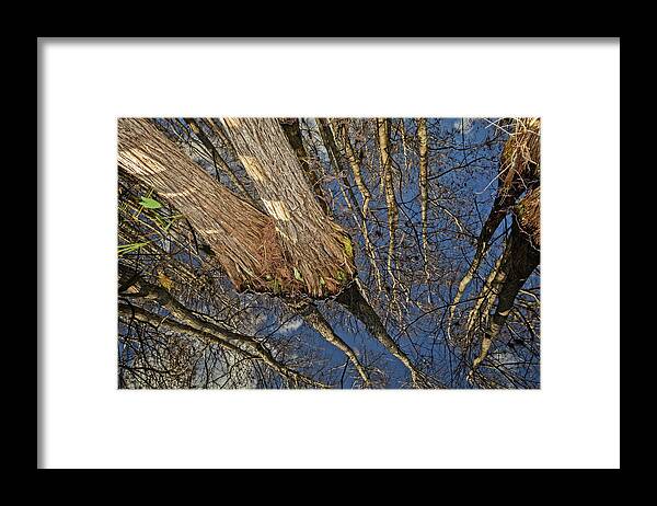 Clouds Framed Print featuring the photograph Looking Up While Looking Down by Debra and Dave Vanderlaan